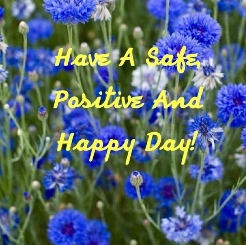 POSITIVE THOUGHTS - Picture 3 of 4